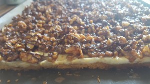 Fressmichdummkuchen1