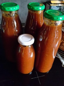 BBQ_sauce_birgitlechner